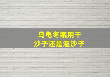 乌龟冬眠用干沙子还是湿沙子