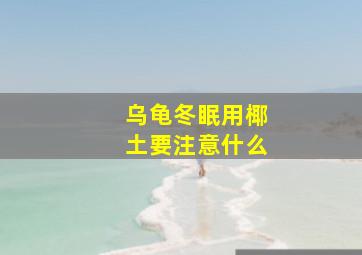 乌龟冬眠用椰土要注意什么