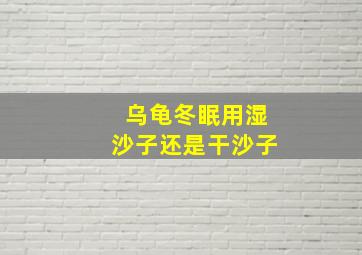 乌龟冬眠用湿沙子还是干沙子