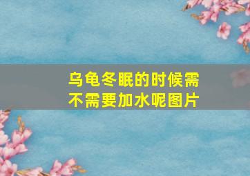 乌龟冬眠的时候需不需要加水呢图片