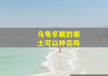 乌龟冬眠的椰土可以种花吗