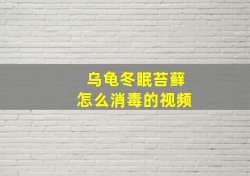 乌龟冬眠苔藓怎么消毒的视频