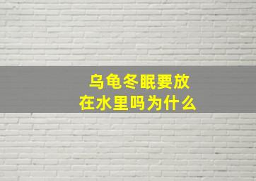 乌龟冬眠要放在水里吗为什么