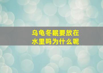 乌龟冬眠要放在水里吗为什么呢