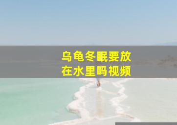 乌龟冬眠要放在水里吗视频