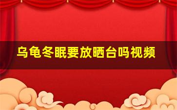 乌龟冬眠要放晒台吗视频