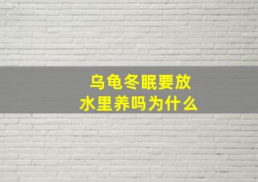 乌龟冬眠要放水里养吗为什么