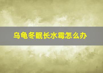 乌龟冬眠长水霉怎么办