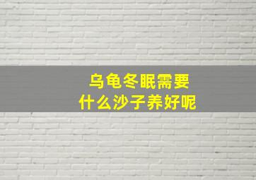 乌龟冬眠需要什么沙子养好呢