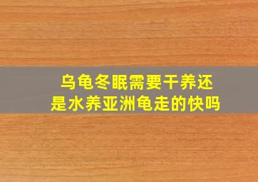 乌龟冬眠需要干养还是水养亚洲龟走的快吗