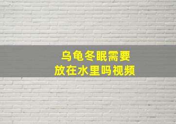 乌龟冬眠需要放在水里吗视频