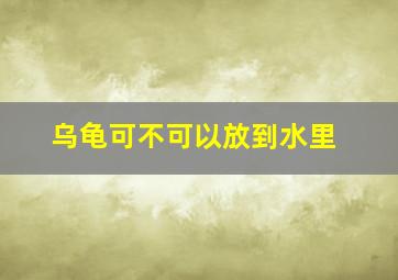 乌龟可不可以放到水里