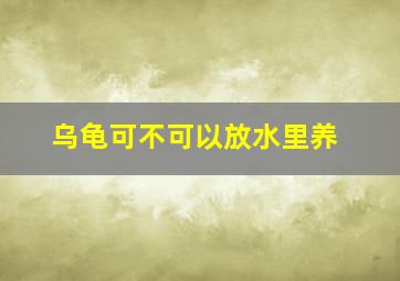 乌龟可不可以放水里养