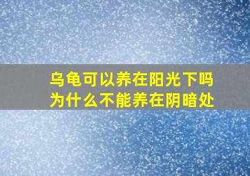 乌龟可以养在阳光下吗为什么不能养在阴暗处