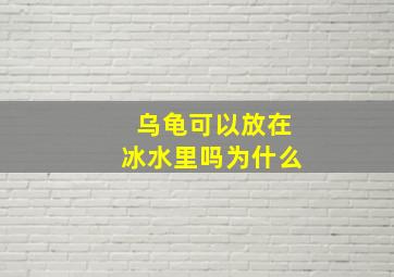 乌龟可以放在冰水里吗为什么