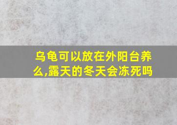 乌龟可以放在外阳台养么,露天的冬天会冻死吗