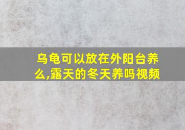 乌龟可以放在外阳台养么,露天的冬天养吗视频