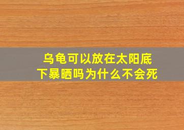 乌龟可以放在太阳底下暴晒吗为什么不会死