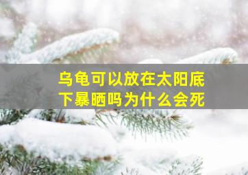 乌龟可以放在太阳底下暴晒吗为什么会死