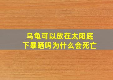 乌龟可以放在太阳底下暴晒吗为什么会死亡