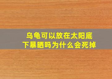 乌龟可以放在太阳底下暴晒吗为什么会死掉