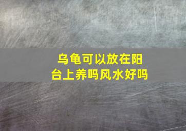 乌龟可以放在阳台上养吗风水好吗