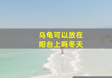 乌龟可以放在阳台上吗冬天