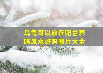 乌龟可以放在阳台养吗风水好吗图片大全