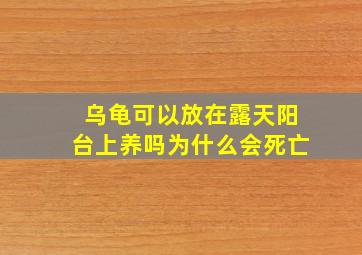 乌龟可以放在露天阳台上养吗为什么会死亡