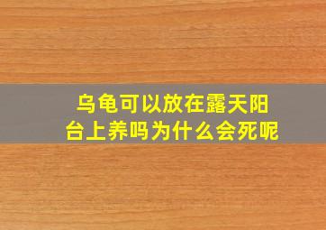 乌龟可以放在露天阳台上养吗为什么会死呢