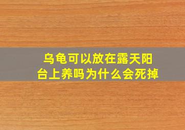 乌龟可以放在露天阳台上养吗为什么会死掉