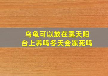 乌龟可以放在露天阳台上养吗冬天会冻死吗