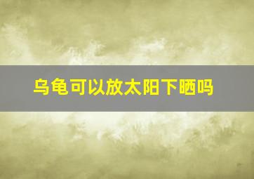 乌龟可以放太阳下晒吗