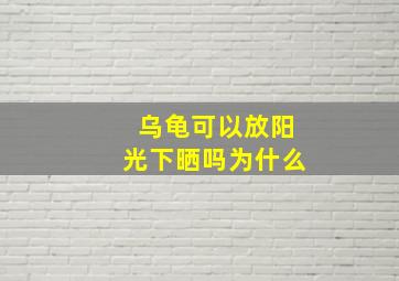 乌龟可以放阳光下晒吗为什么