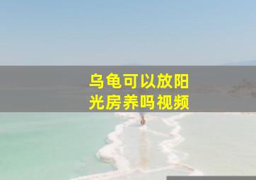 乌龟可以放阳光房养吗视频