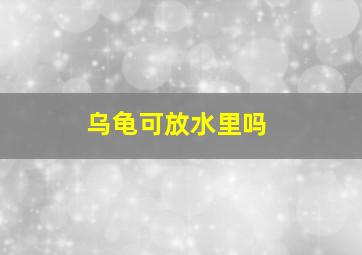 乌龟可放水里吗