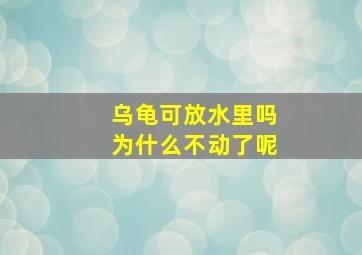 乌龟可放水里吗为什么不动了呢