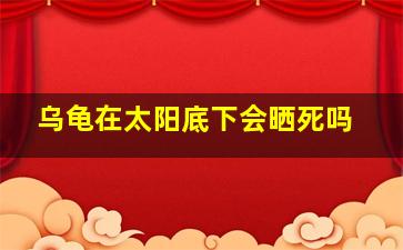 乌龟在太阳底下会晒死吗