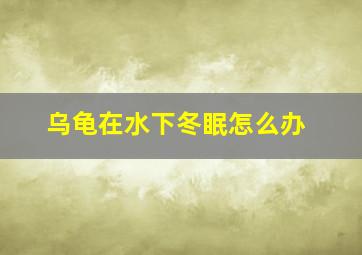 乌龟在水下冬眠怎么办