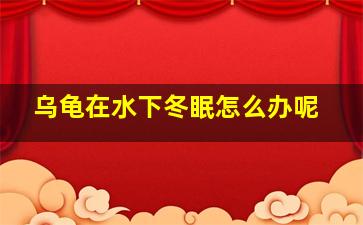 乌龟在水下冬眠怎么办呢