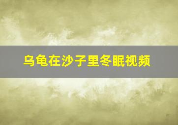 乌龟在沙子里冬眠视频