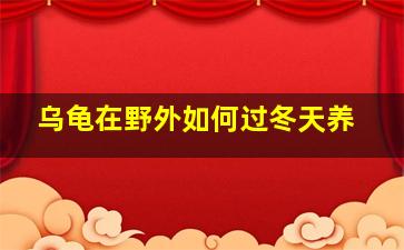 乌龟在野外如何过冬天养