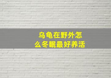 乌龟在野外怎么冬眠最好养活