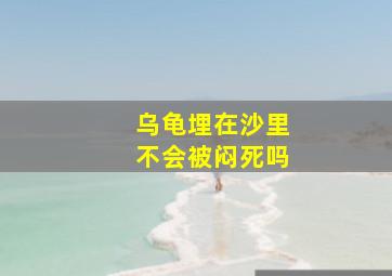 乌龟埋在沙里不会被闷死吗