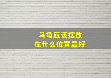 乌龟应该摆放在什么位置最好