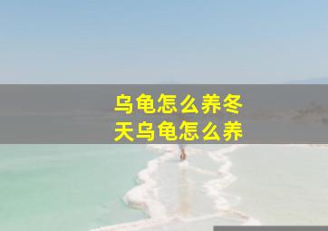 乌龟怎么养冬天乌龟怎么养