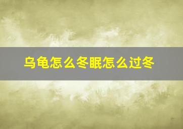 乌龟怎么冬眠怎么过冬