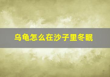 乌龟怎么在沙子里冬眠