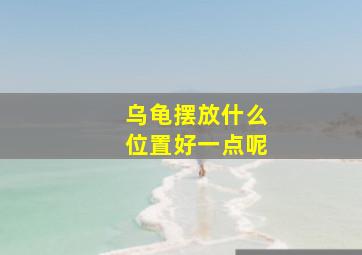 乌龟摆放什么位置好一点呢