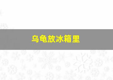 乌龟放冰箱里